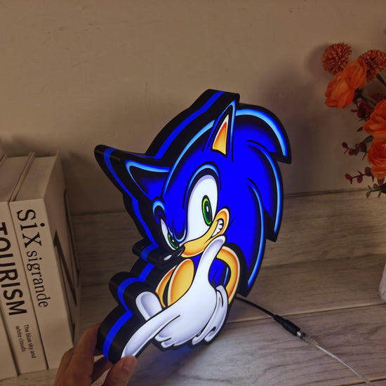 Sonic the Hedgehog SEGA Logo 3D LED Light Box