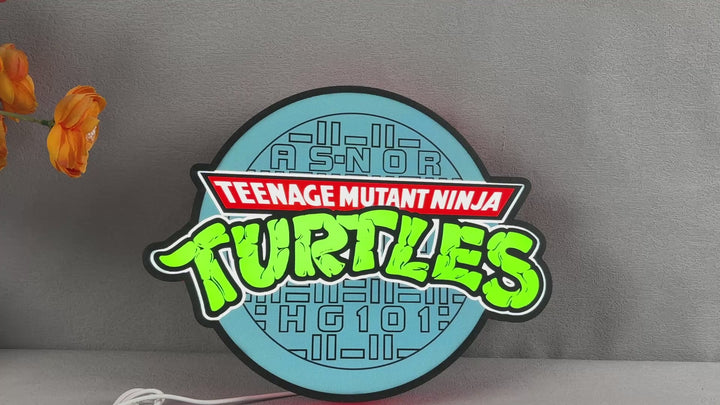 TMNT Teenage Mutant Ninja Turtles Shell Backpack 3D Lightbox Fully Dimmable USB Power Supply