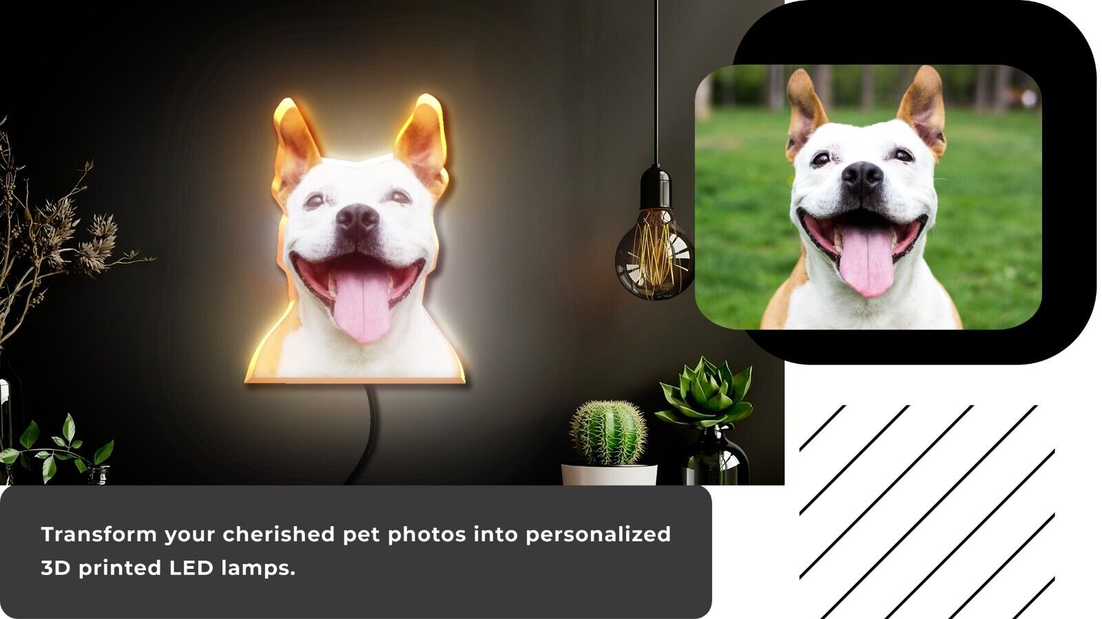 Personalized 3D Printed LED Lamps - Capture Your Beloved Pet in a Stunning Light